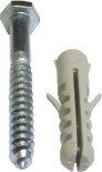 Coach screw and plug